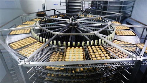 甩開歷史包袱，走好三條路 稻香村集團(tuán)以技術(shù)開發(fā)引領(lǐng)高質(zhì)量發(fā)展